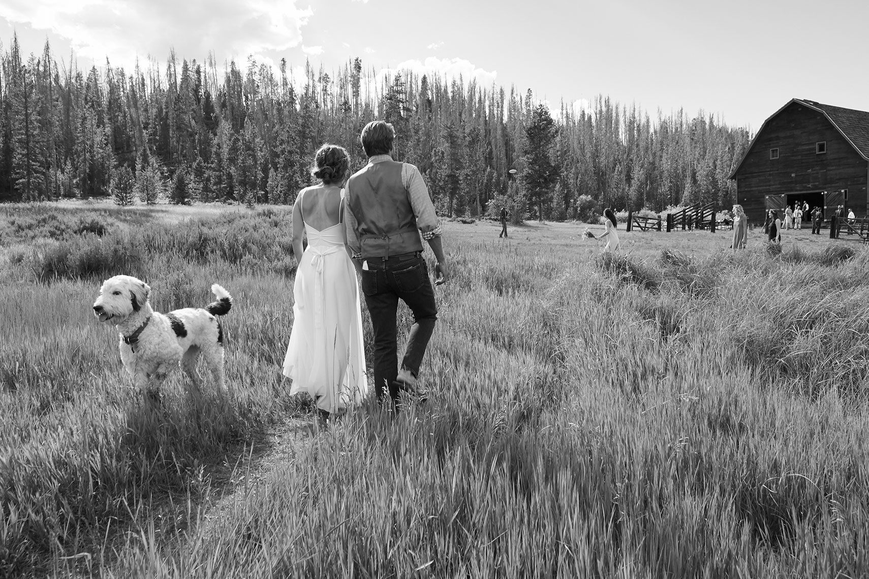 005_120_20160813_TrailMagic_05793-1-copy